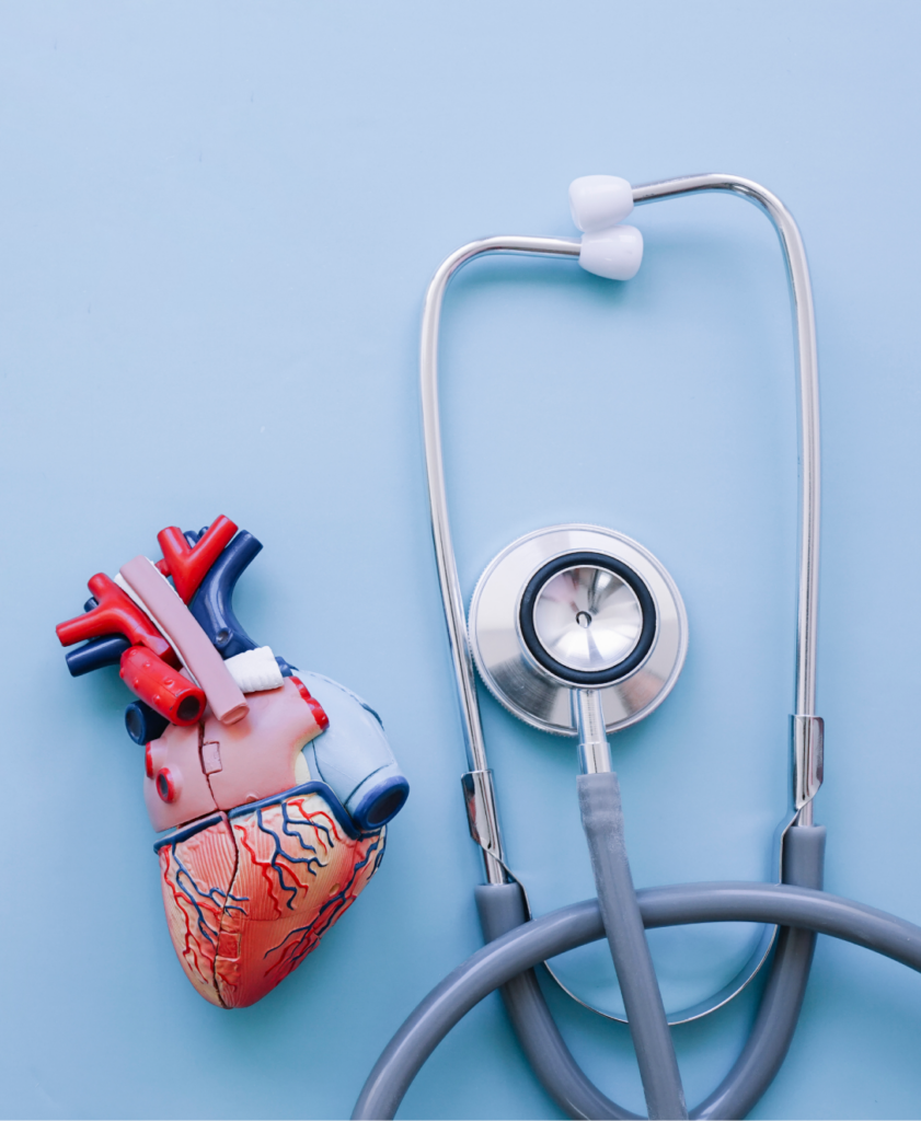 a stethoscope and a human heart on a blue background.