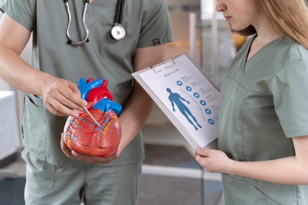 A nurse is holding a model of a heart to provide Atrial Fibrillation resources.
