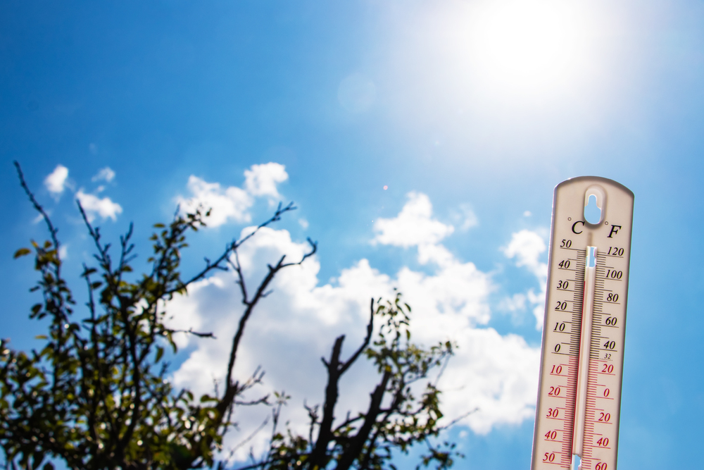 Thermometer on the background of dry leaves. Summer heat or global warming climate change concept.