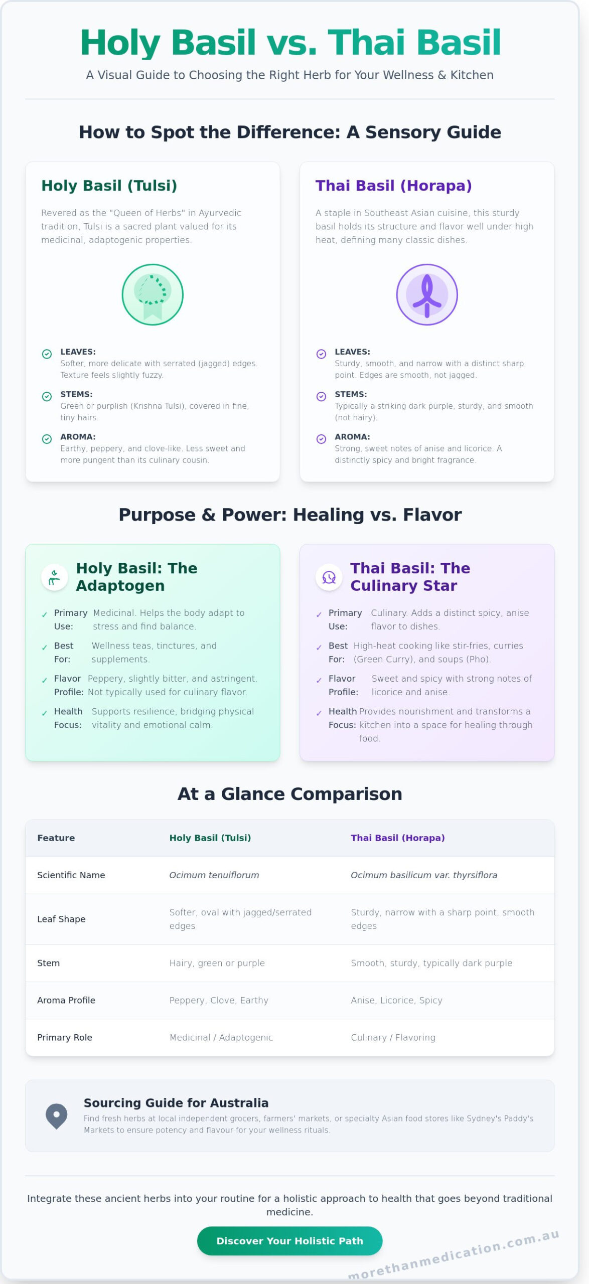 Holy Basil vs. Thai Basil: A Holistic Guide to Their Unique Health and Culinary Benefits